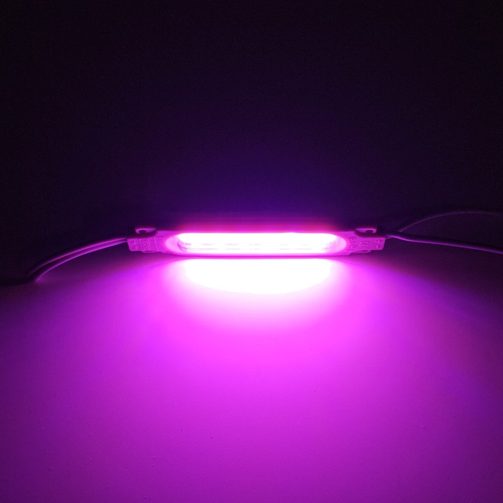 Модуль рекламний 12v COB 6816 прямокутний з лінзою Рожевий